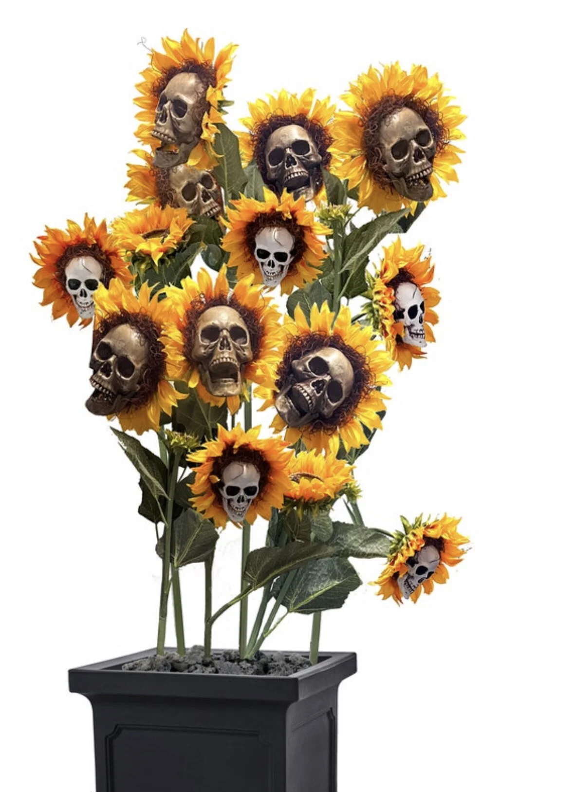 DCB83F30-82BC-4698-B503-6C02ADA69269