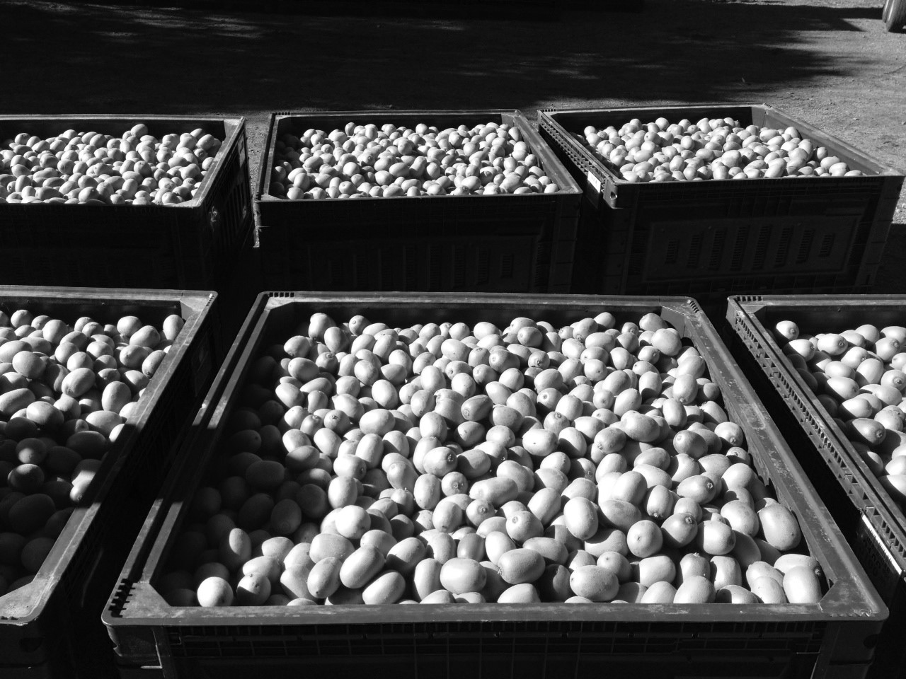 Corporate Lawyer Tauranga.jpg