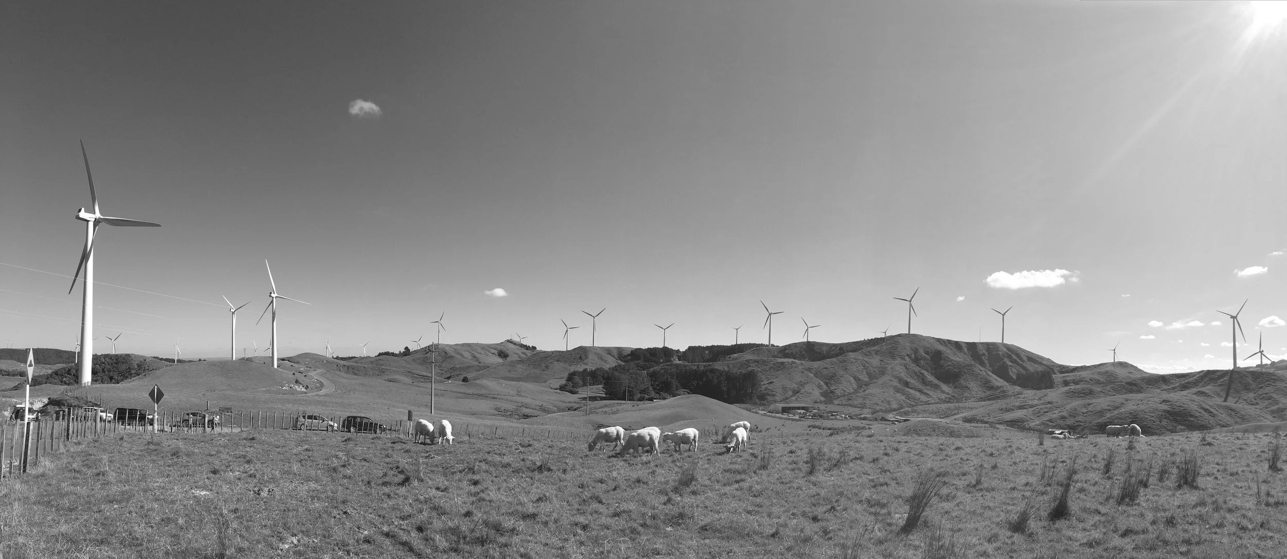 Commercial Lawyer Tauranga.jpg