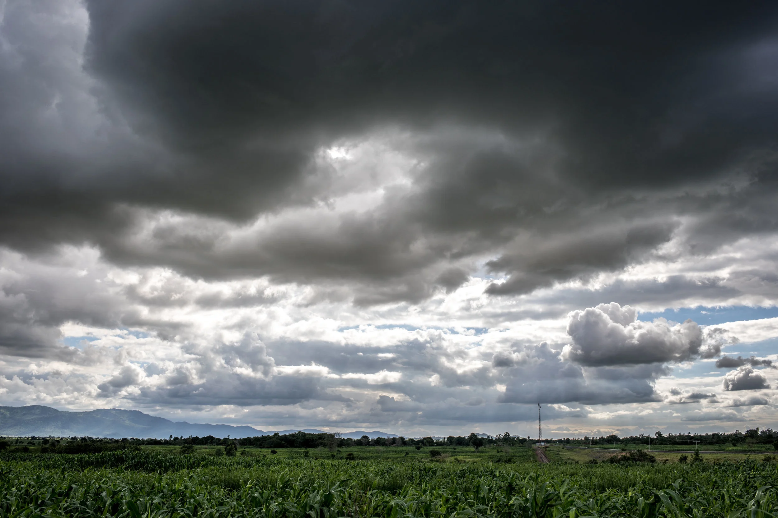 Malawi_Day 7_Bees and CSA_Big SD-4539_LR.jpg