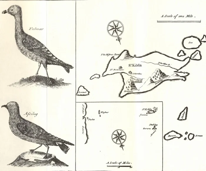 Welcome Deirdre Nelson and “The Kildas” Project