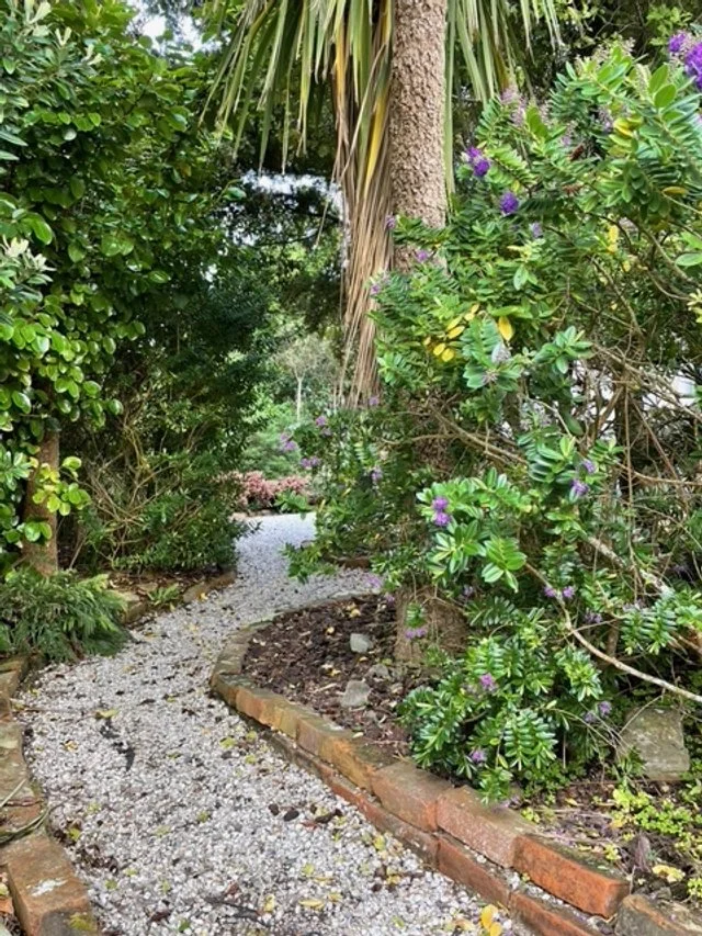 Caselberg House, Broad Bay - a place for Creative Minds and Makers