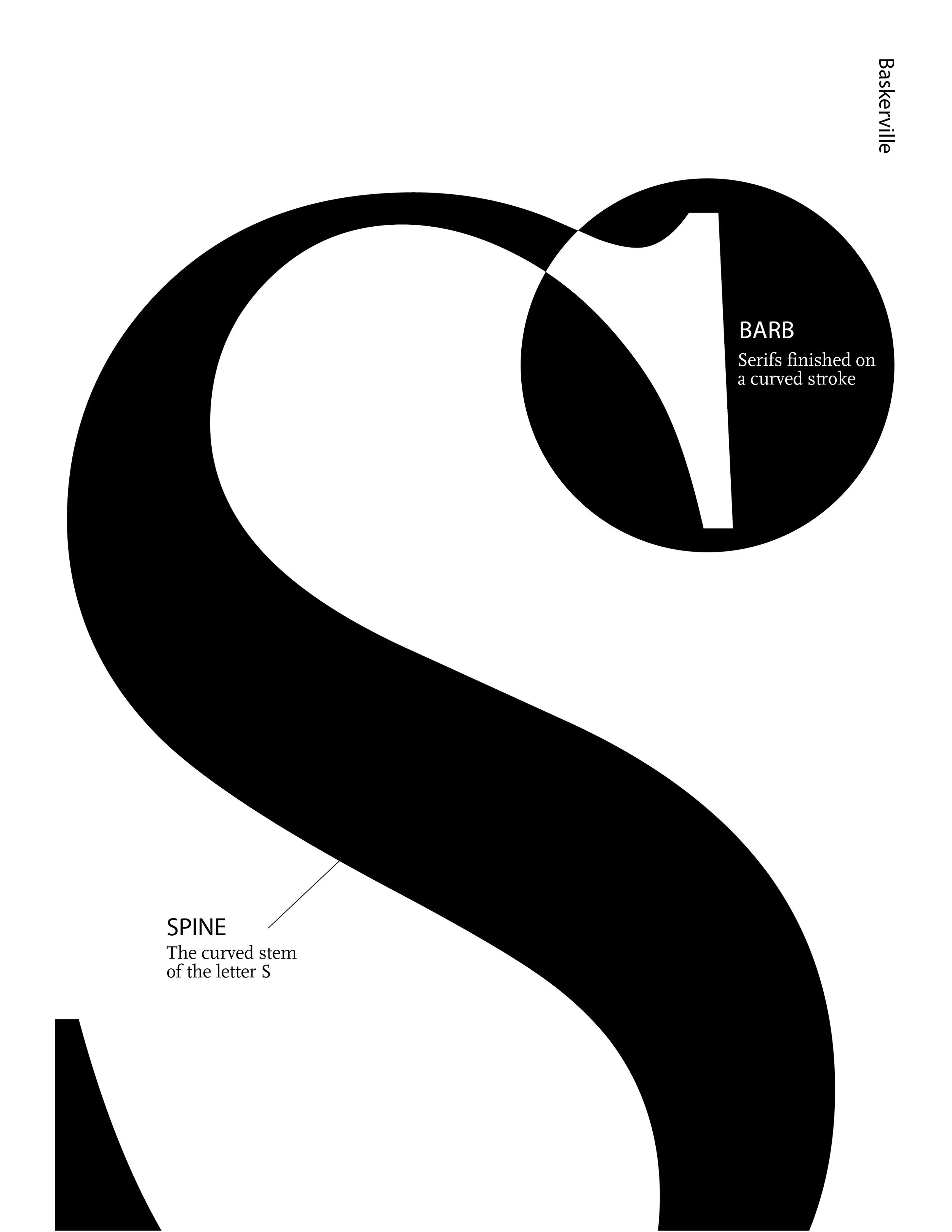 ANATOMY OF TYPE_2-07-01.jpg