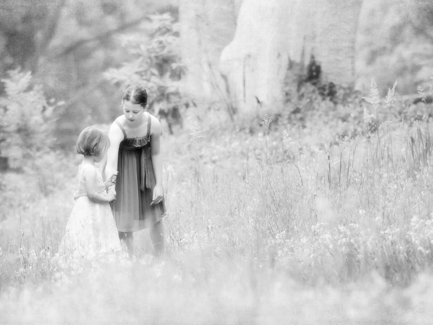 1110101P004 Timeless2 A1Pan_2048px.jpg