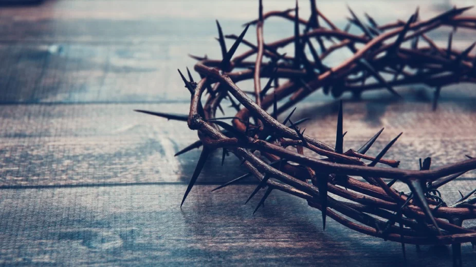 1500x844-crown-of-thorns_486k.jpg