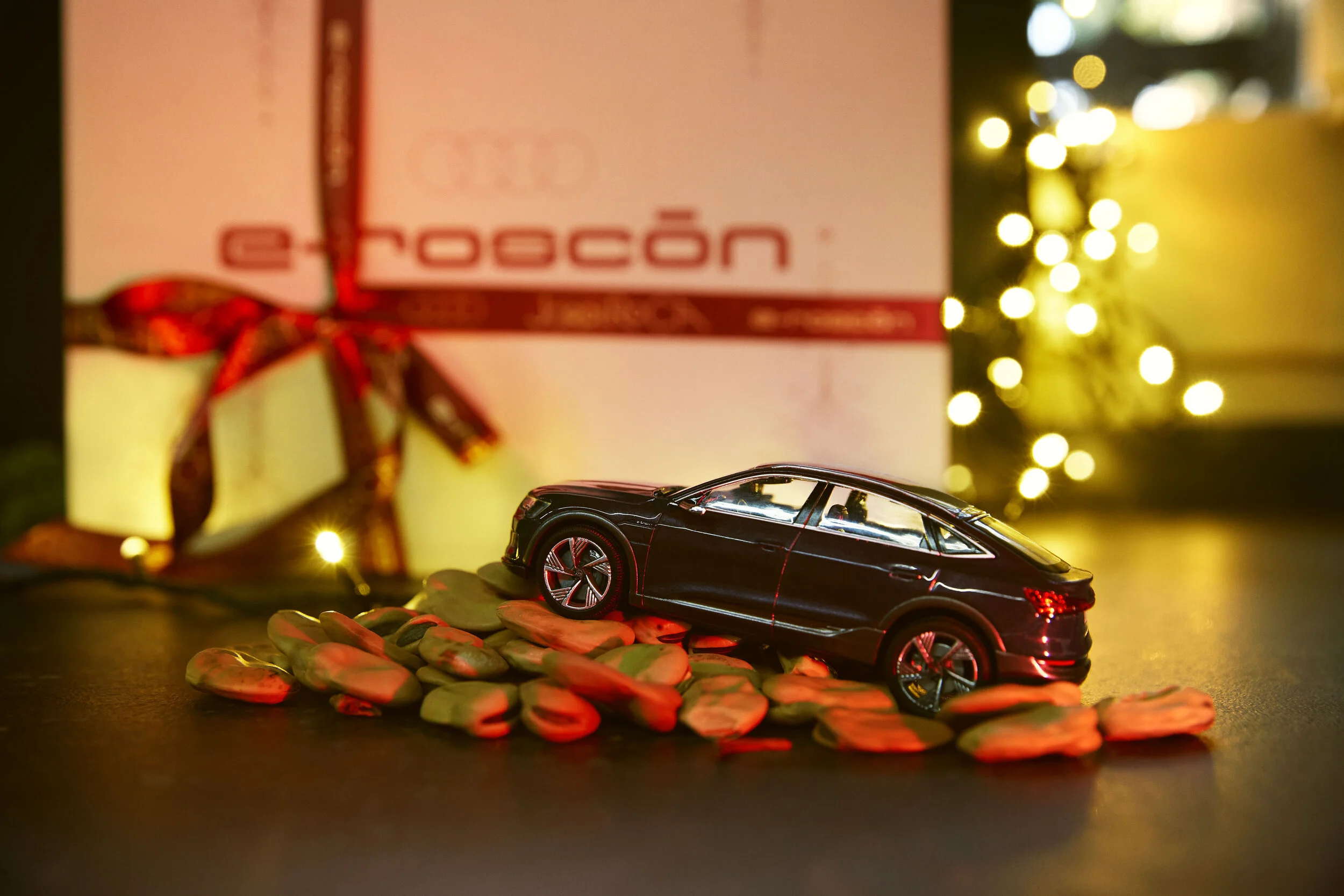 Audi e_Roscon_Foto 2_251.jpg