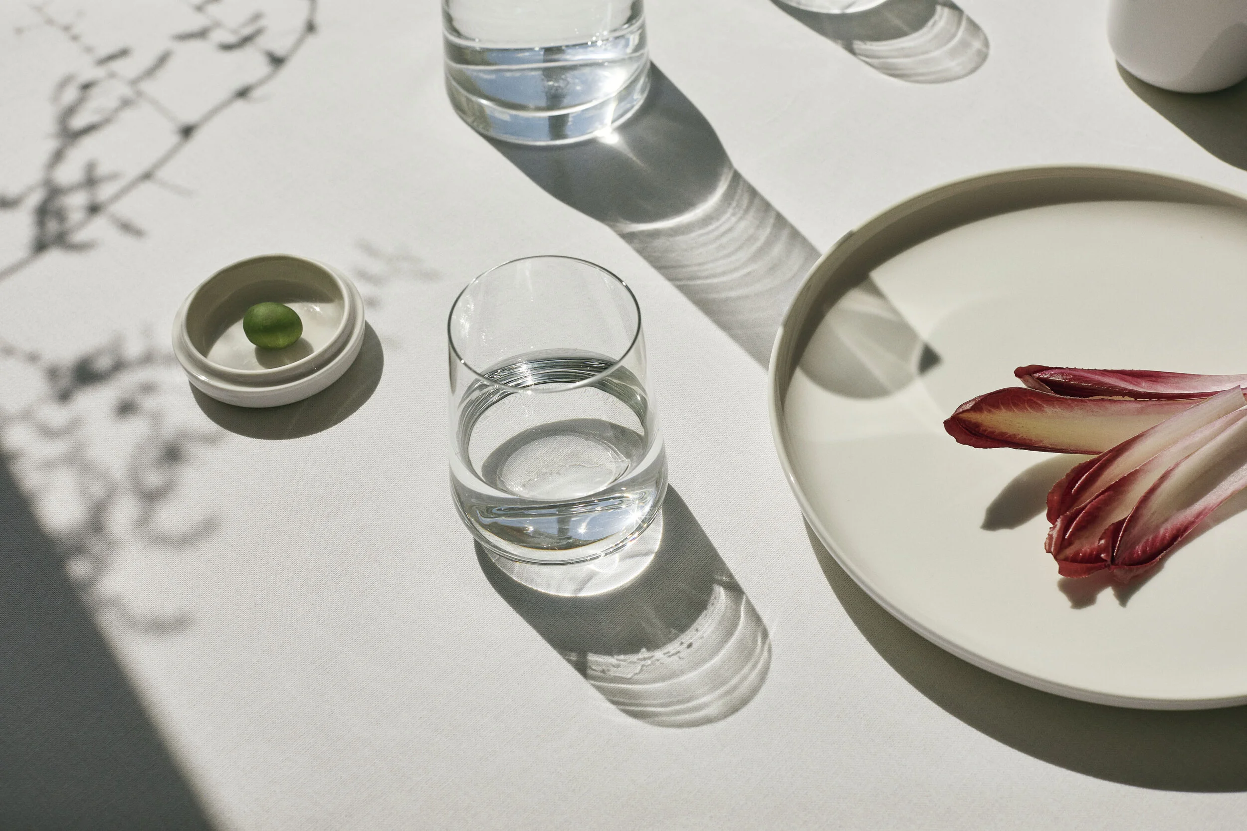 2020_09_02 Iittala Essence 2021_F02_0365.jpg
