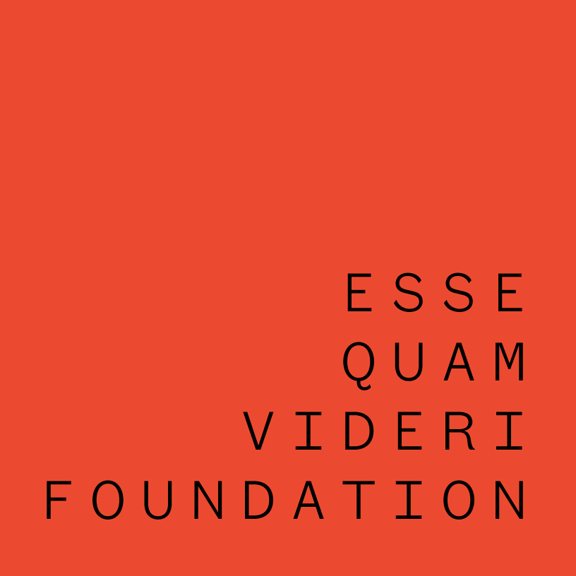 Selection Process — EQV Foundation