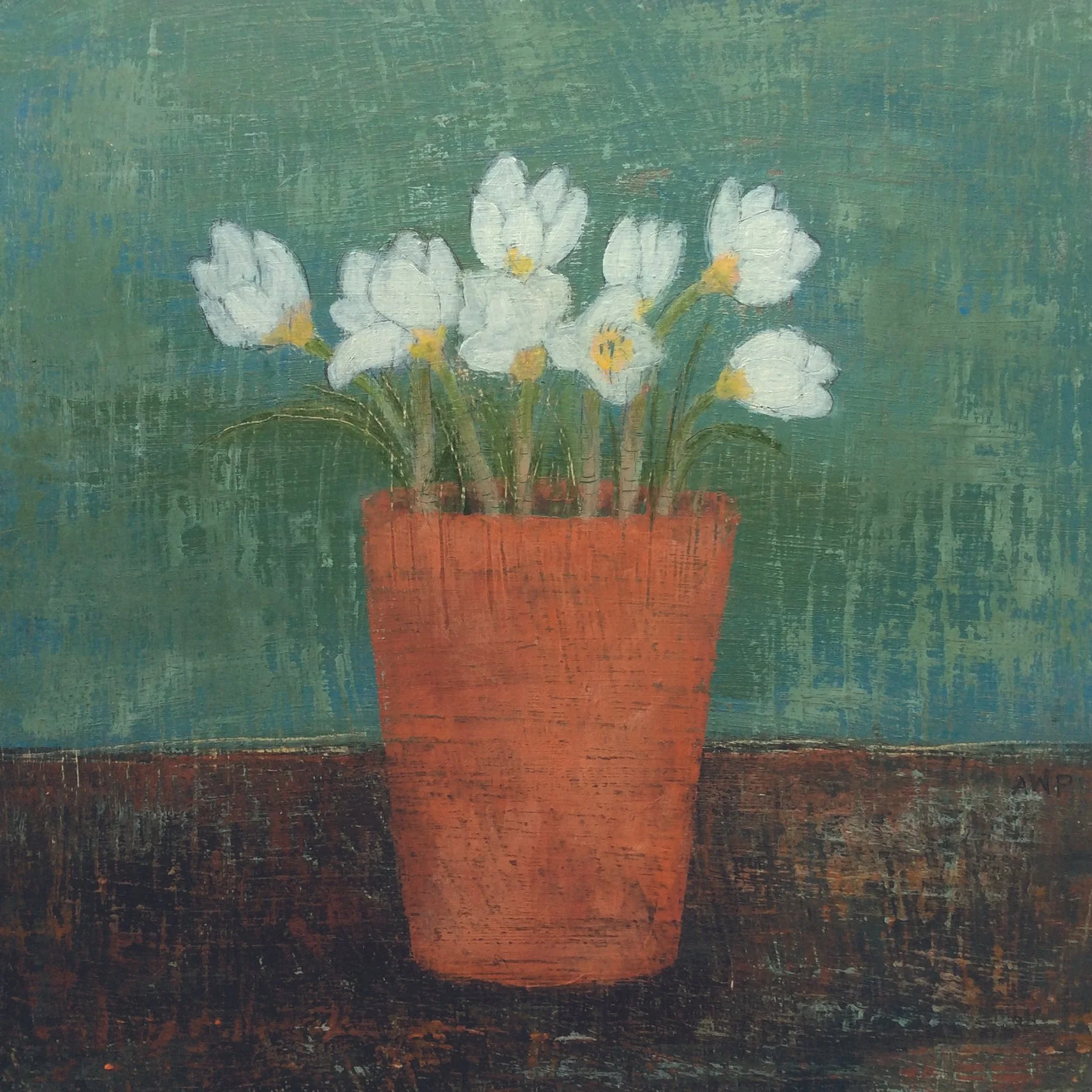 Crocus In A Terracotta Pot.jpg