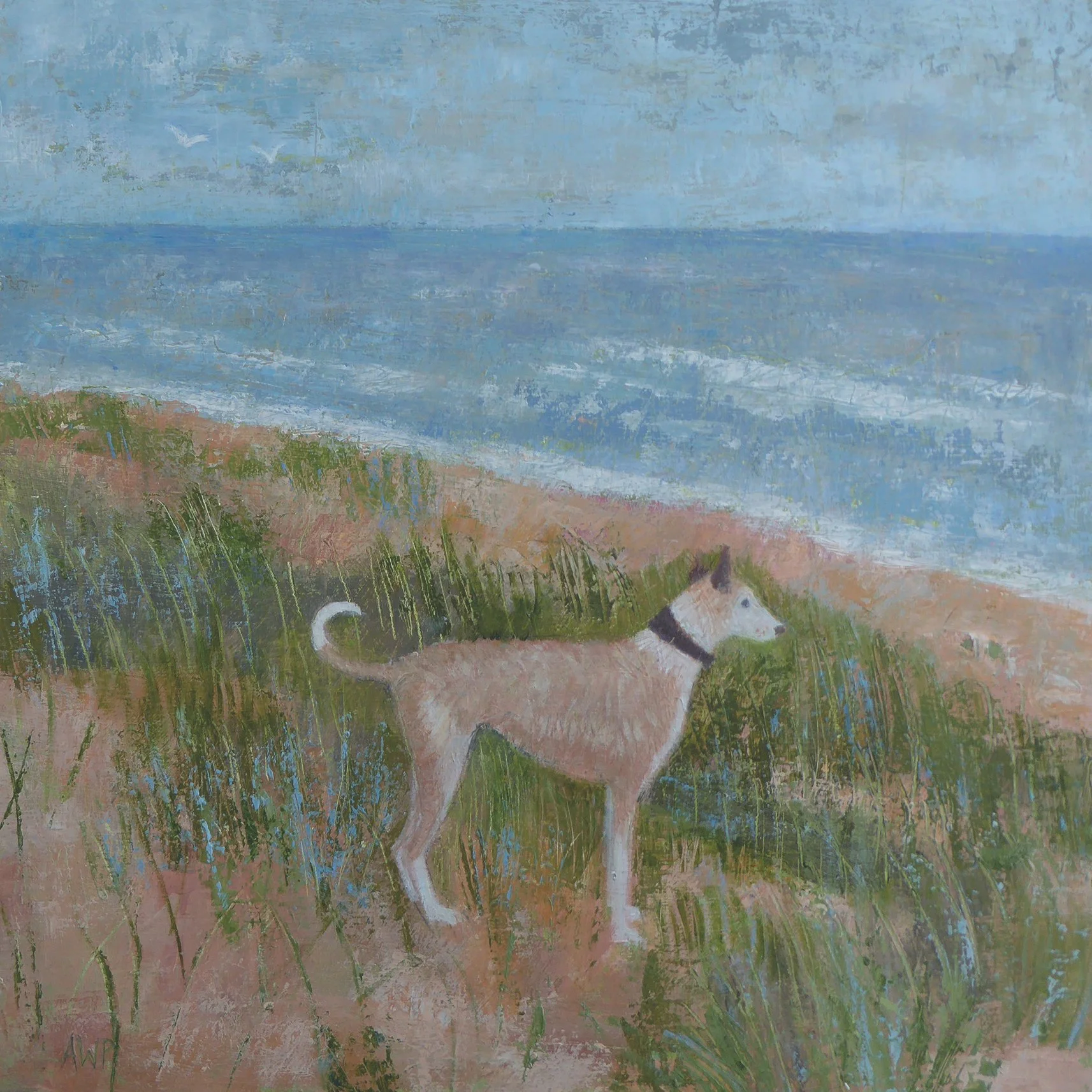 Lurcher In The Dunes.jpg
