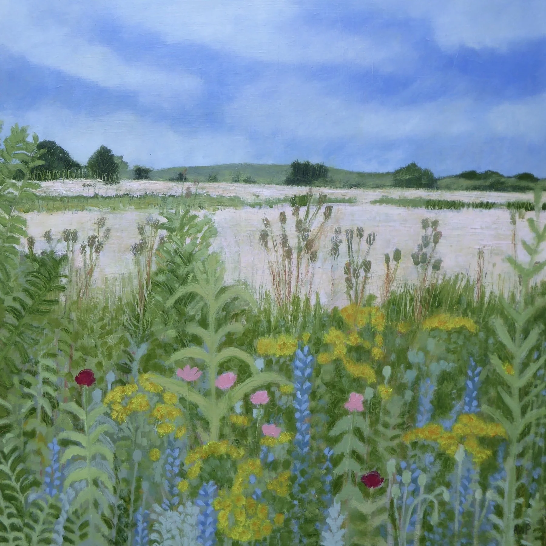 FieldFlowers.JPG