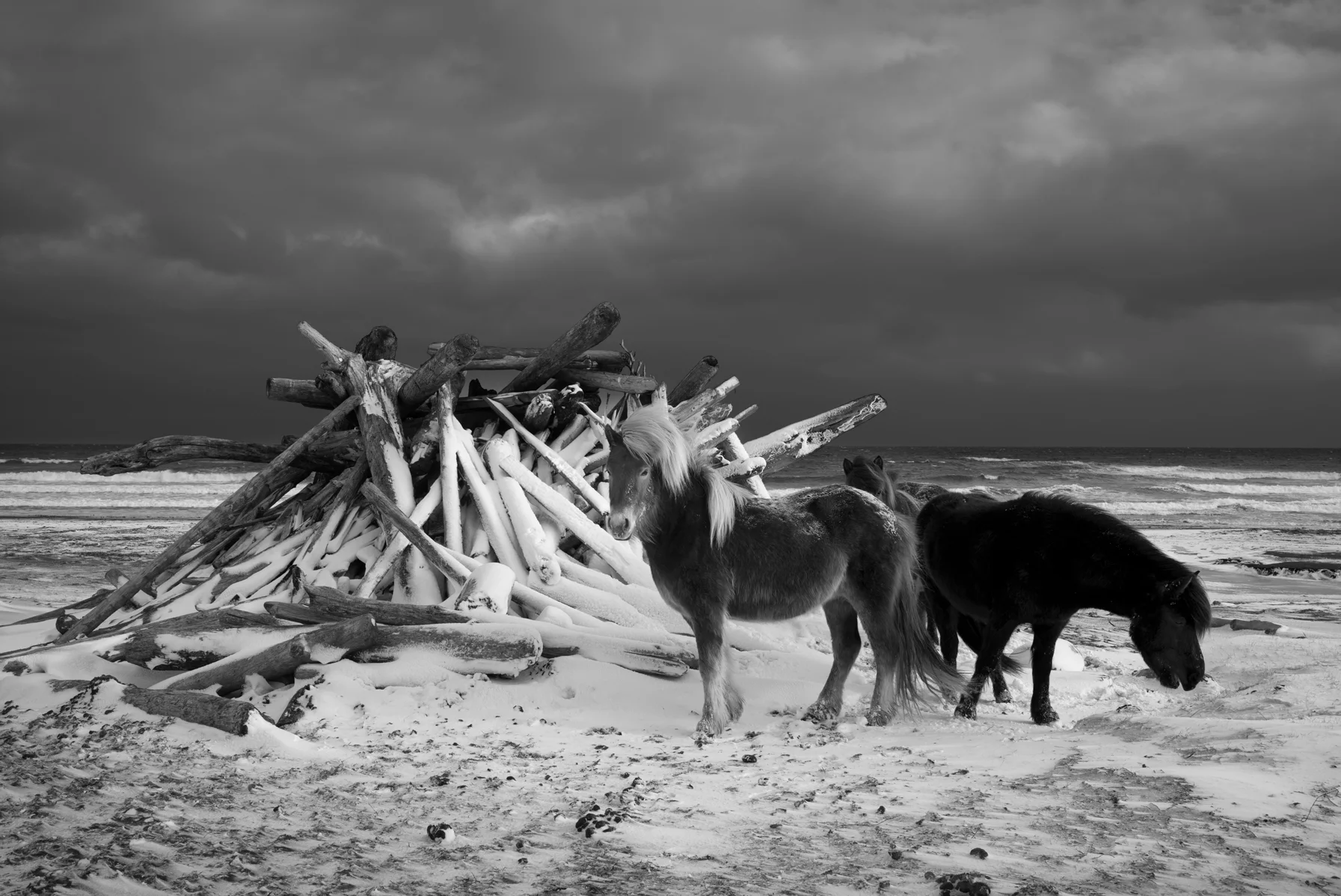 Is this film or digital? Photographer Ragnar Axelsson shot this on the Leica M Monochrom, a black-and-white digital camera. (Photo: Ragnar Axelsson/Leica)