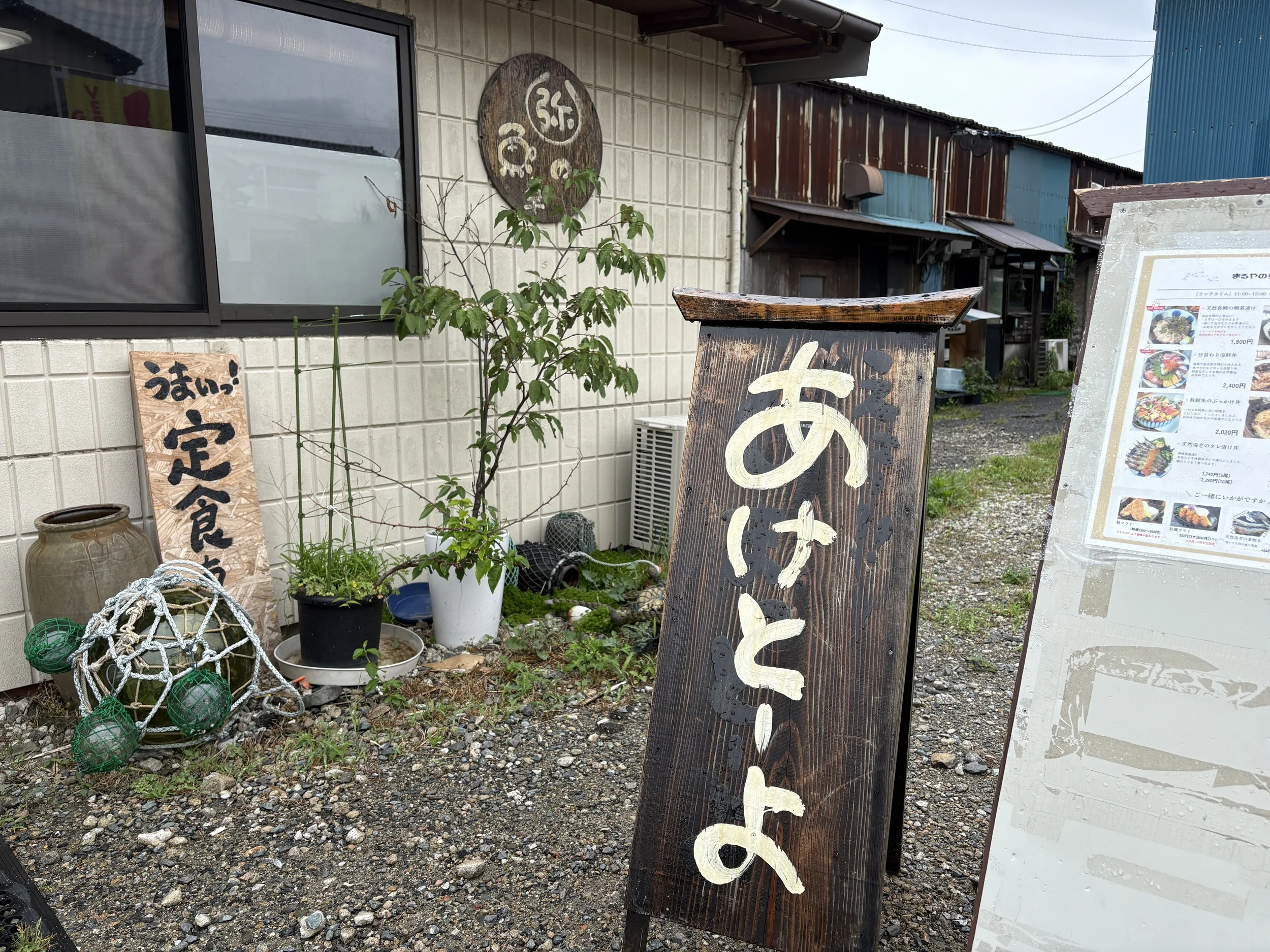 IMG_2020.jpeg