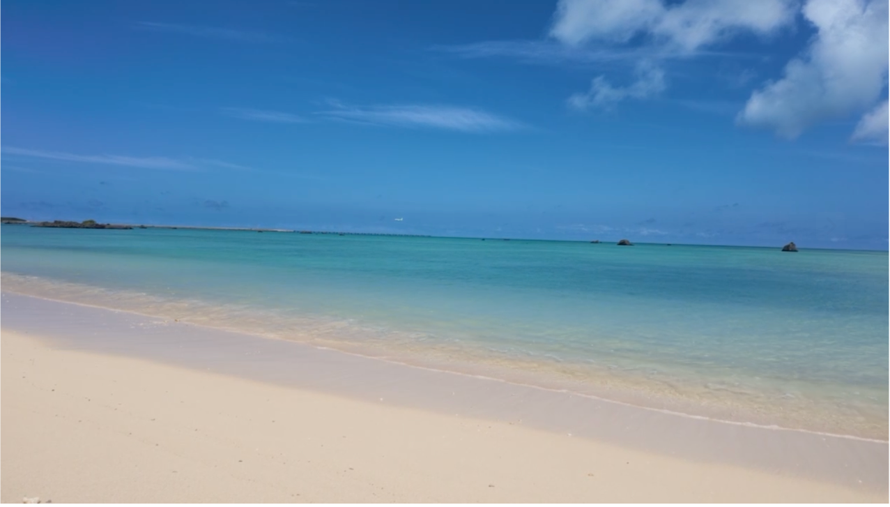佐和田の浜.png