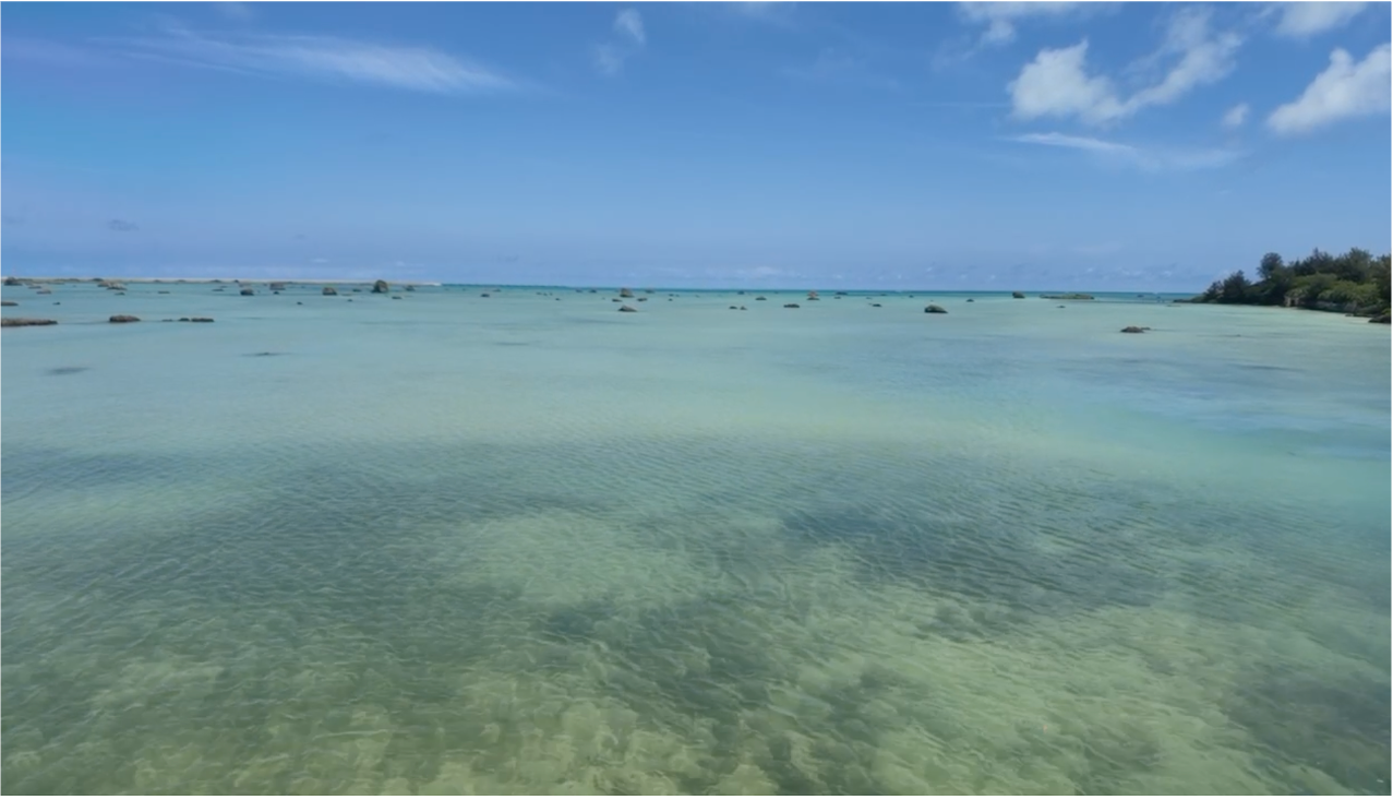 佐和田の浜2.png