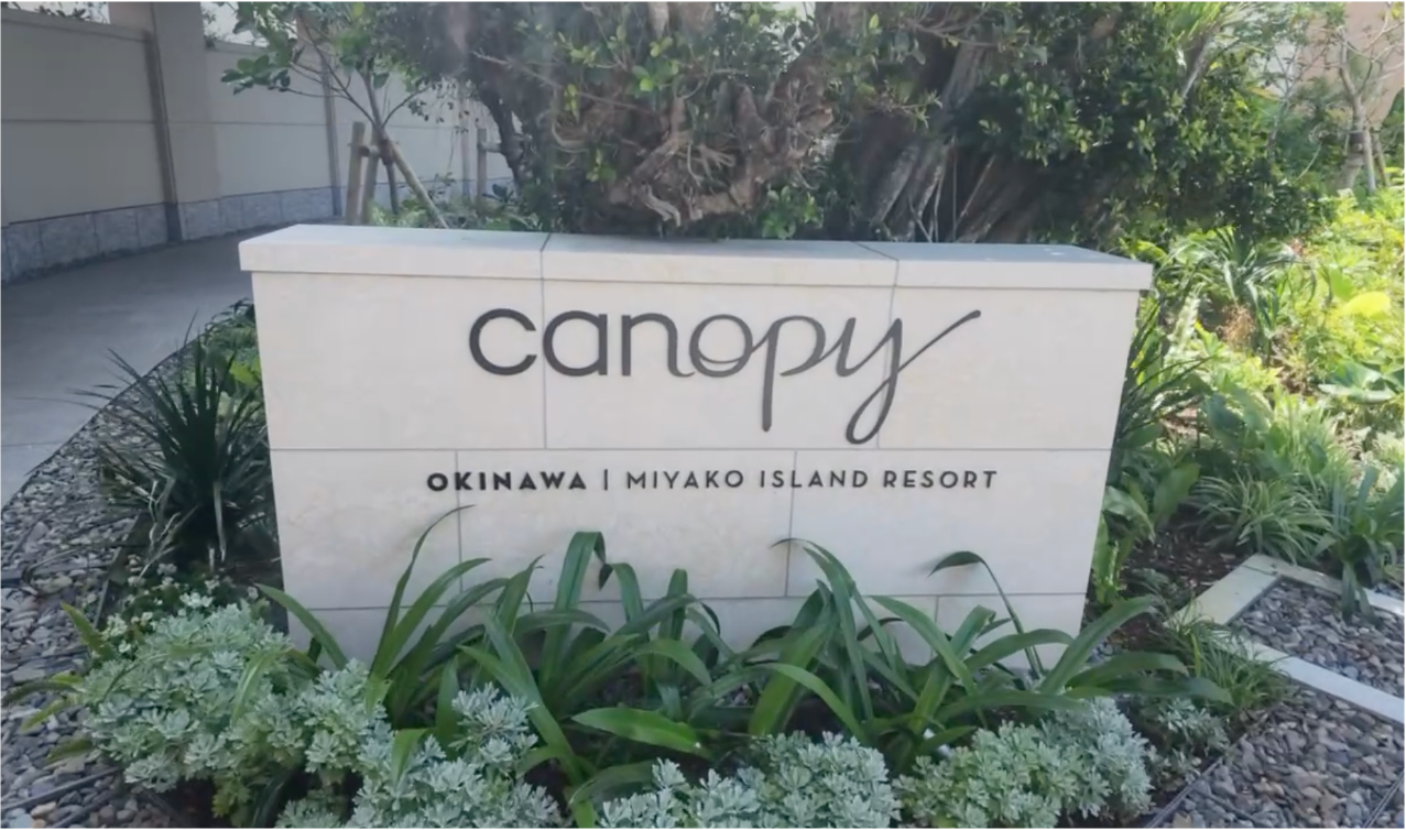 canopy1.png
