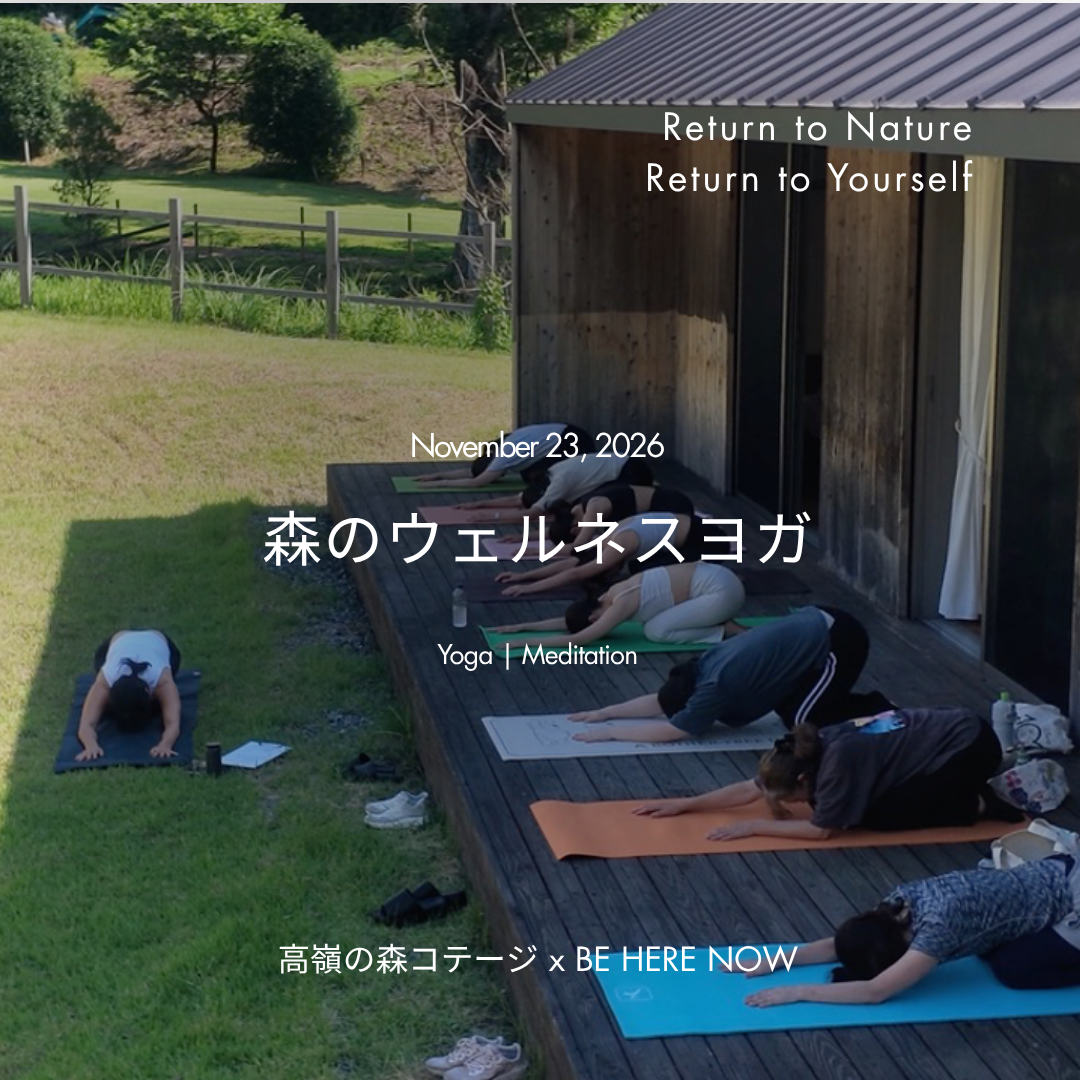 20261112_yoga.png