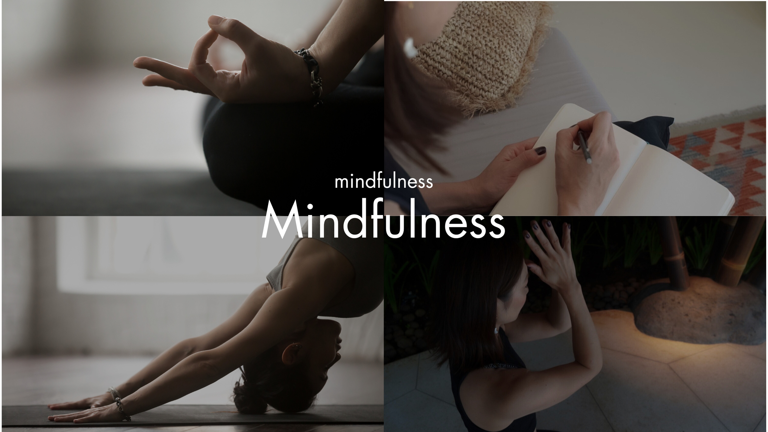 wellness04.png