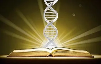 КНИГА ЖИЗНИ.  (ОТРЫВОК 45)