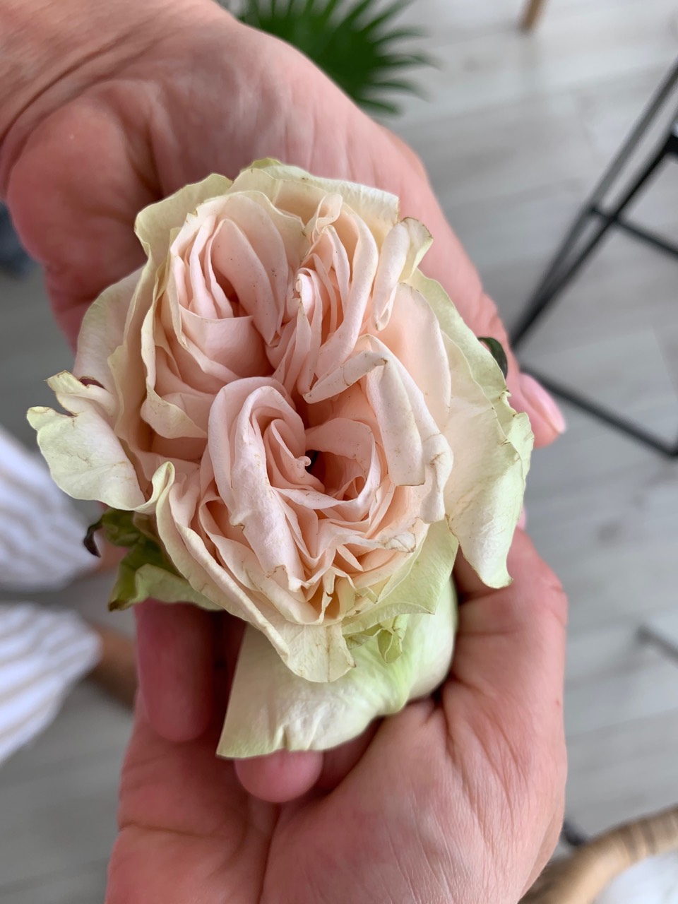 ОГОНЬ ЛЮБВИ