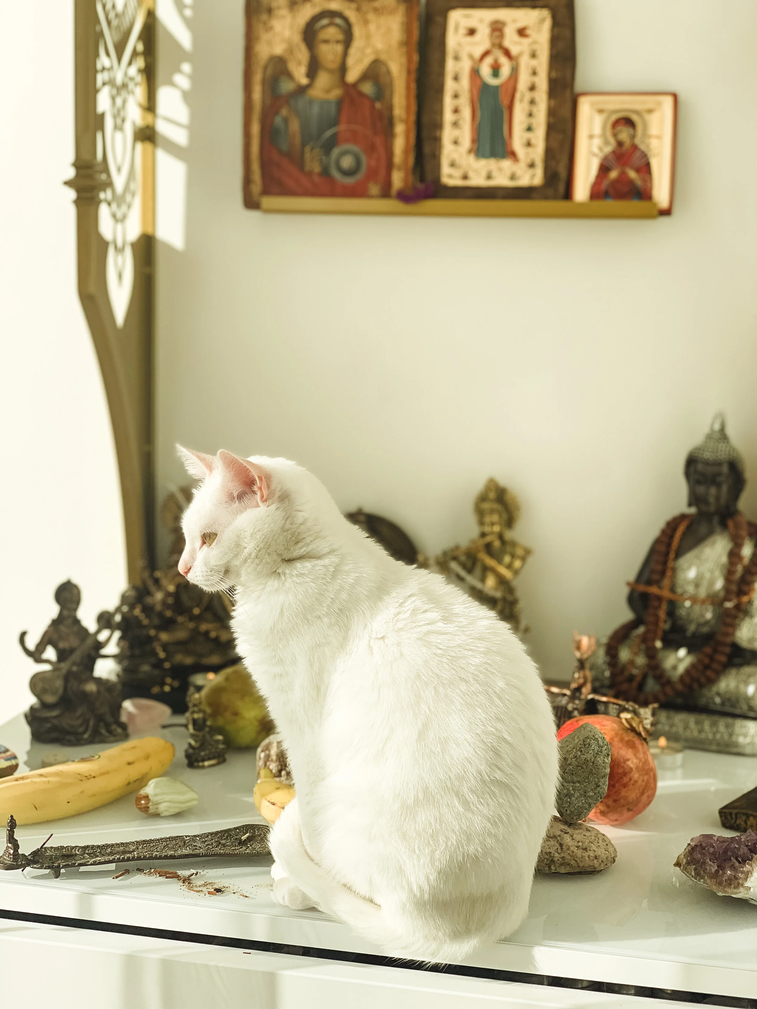 КАК УСЛЫШАТЬ СВОЕ СЕРДЦЕ?