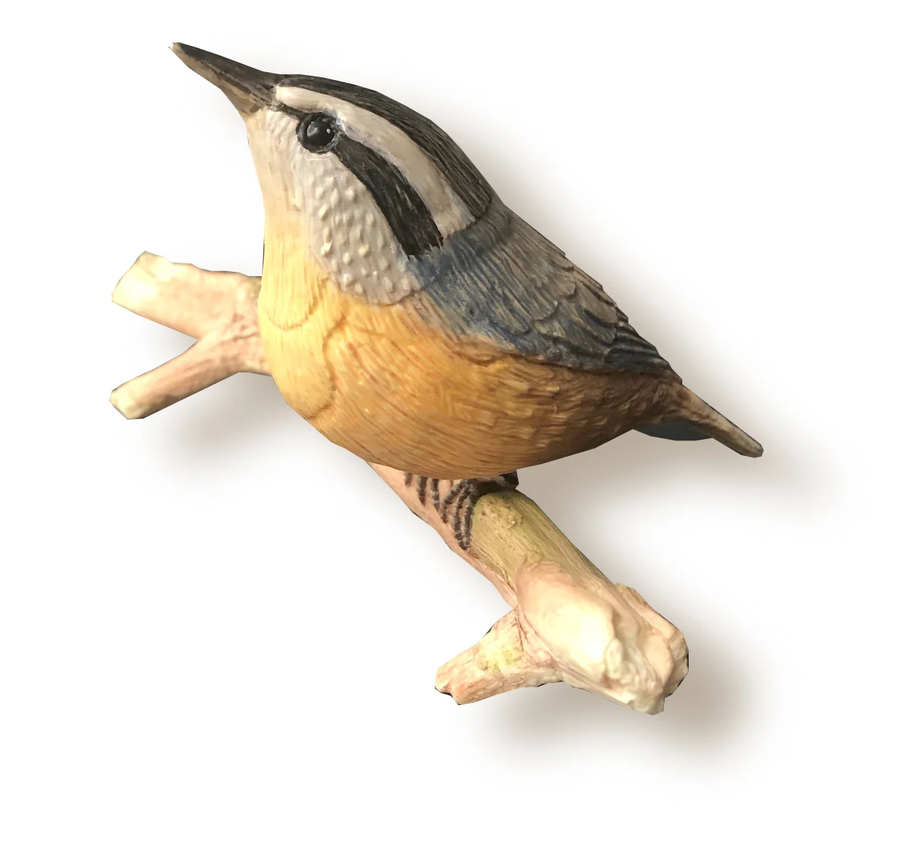 bird.jpg
