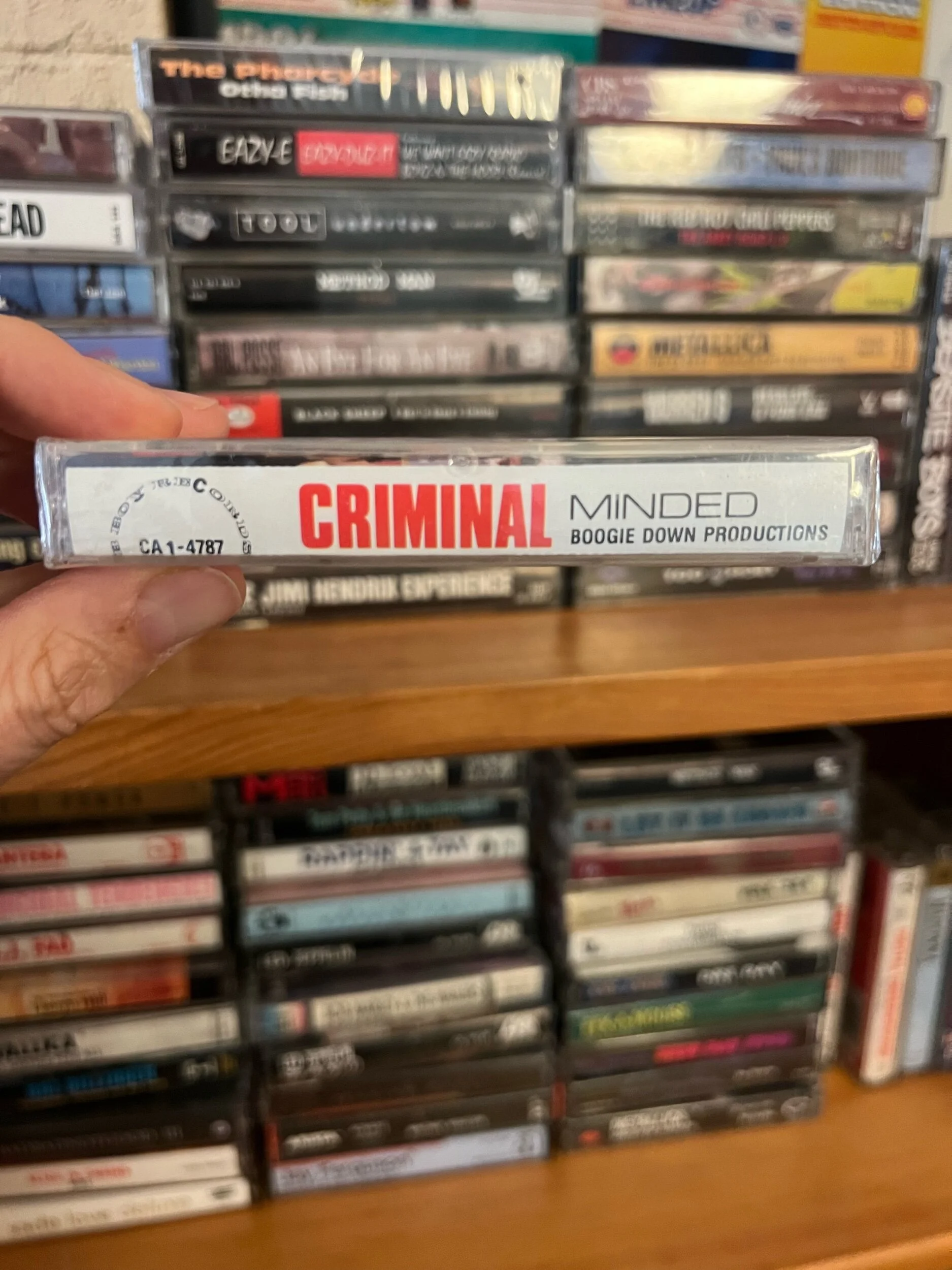 6976E76A-EE72-4659-83E2-8022B7E04D86