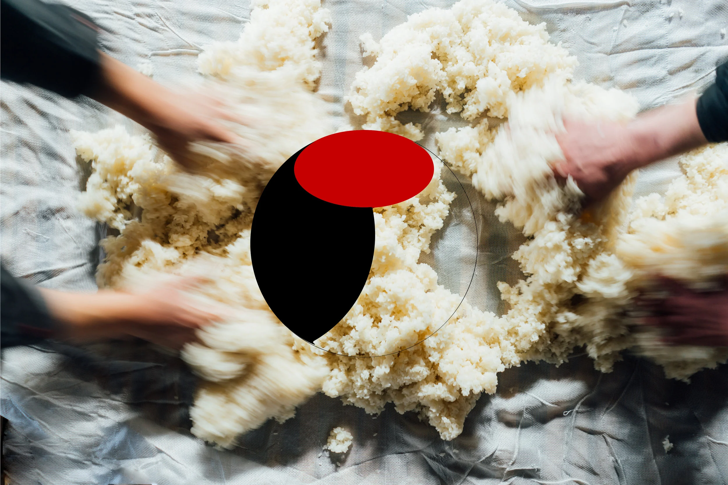 senkin_アートボード 1 のコピー 9.jpg