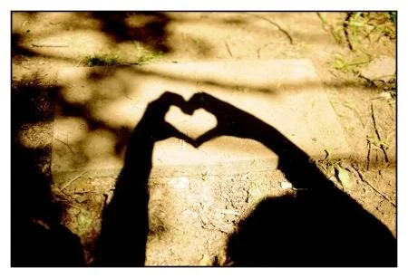 A Monthly Wellness Column: Let the Sun Shine