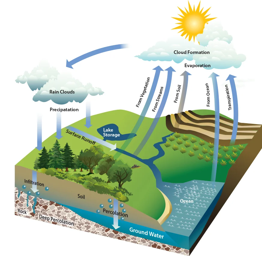hydrologic-cycle.jpg