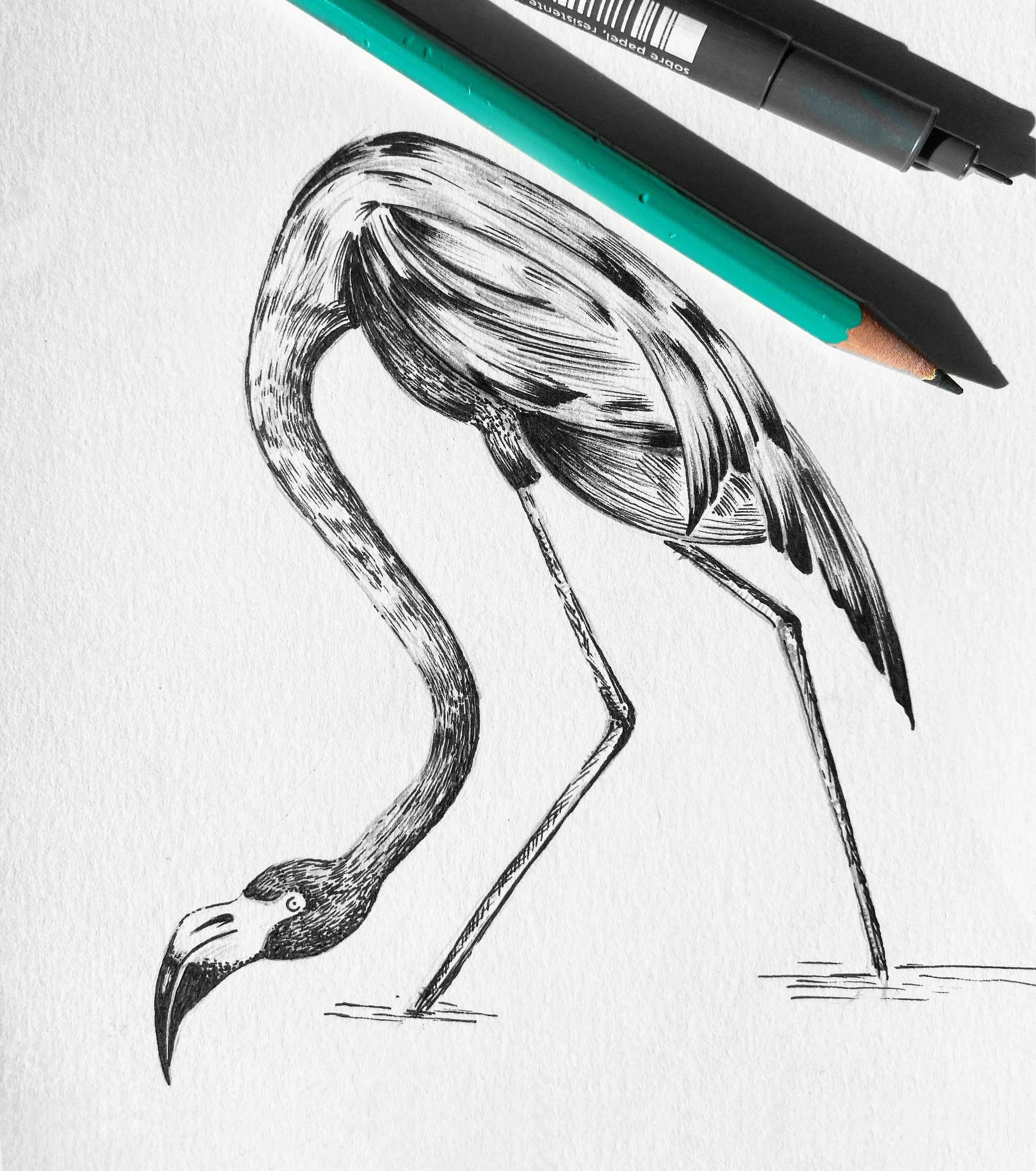 drawing.jpg