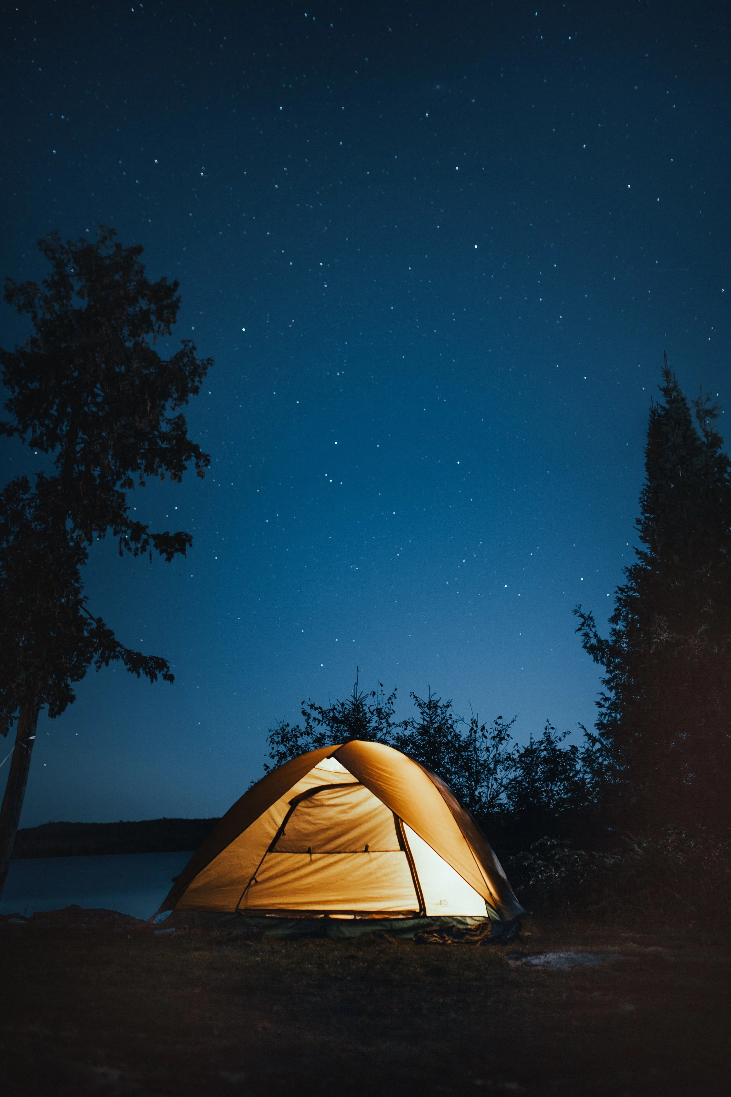 Build a blanket tent in the living room...
