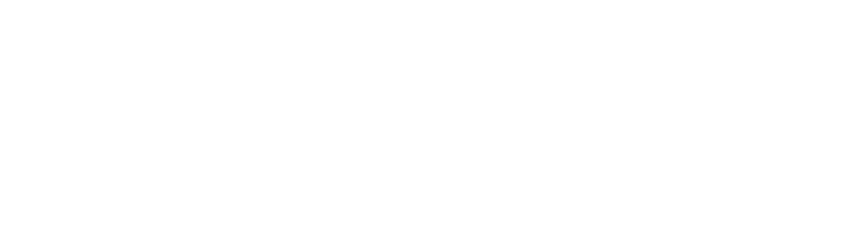 The Hamilton Park Group