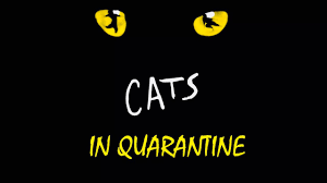 Dancers around the world celebrate 'Cats in Quarantine'