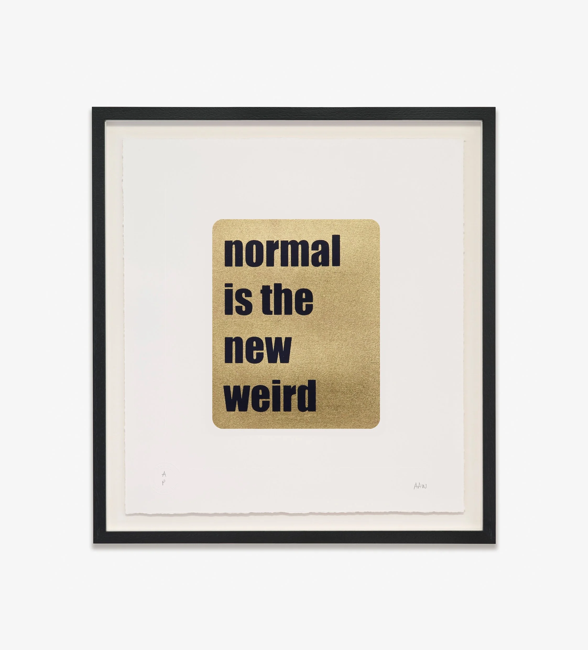 NORMAL IS THE NEW WEIRD (Reflex) - FRAMED II.jpg