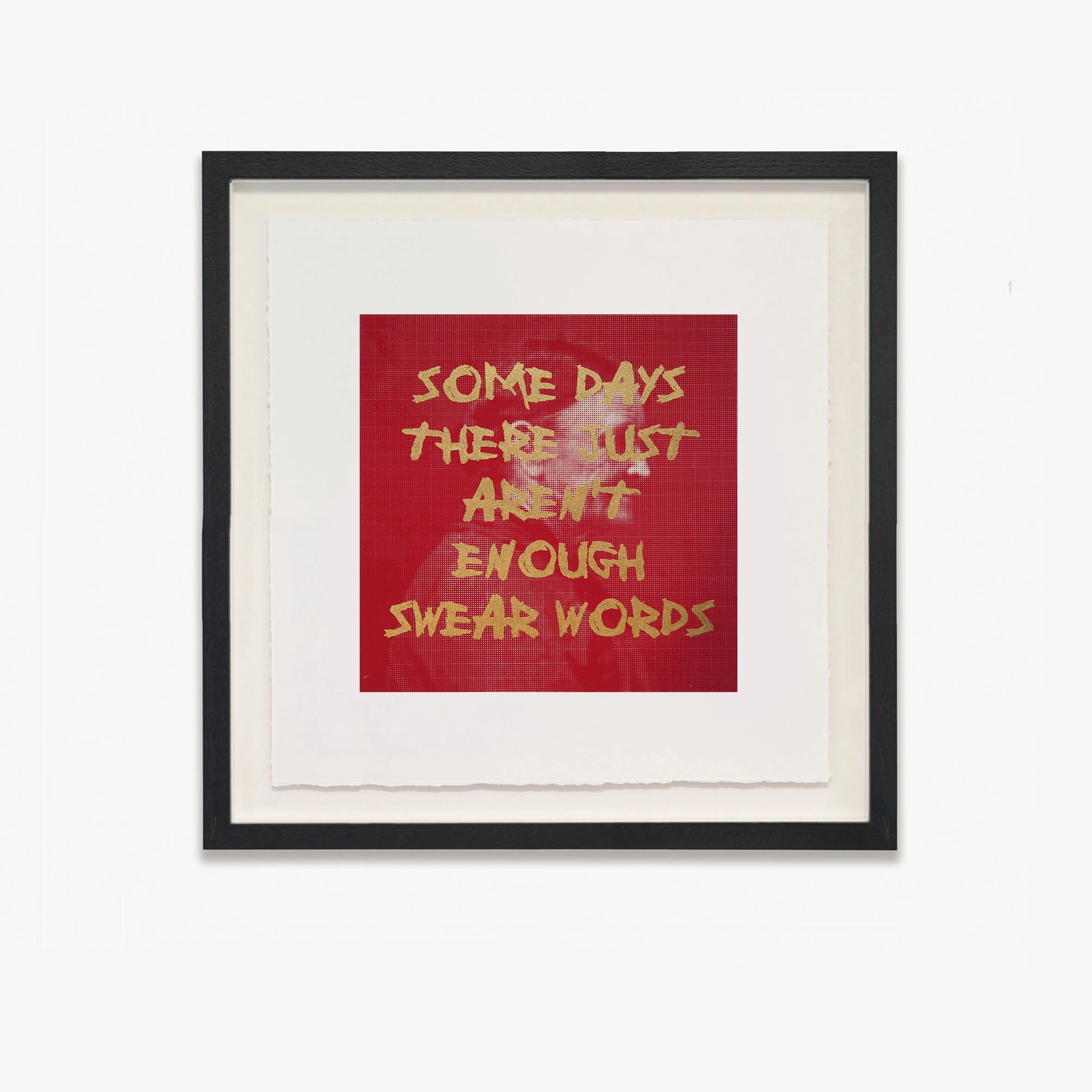 SWEAR WORDS (Rubine) - Framed-8.jpg
