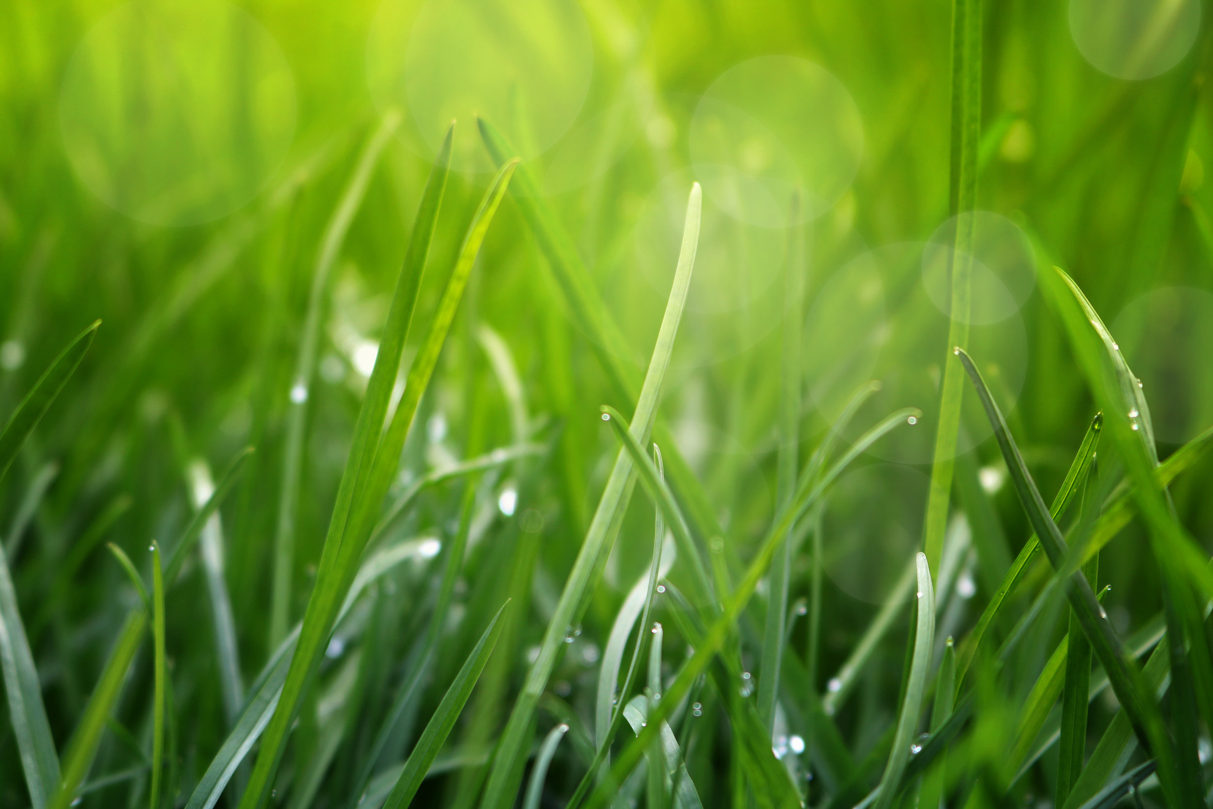 iStock-940986598.jpg