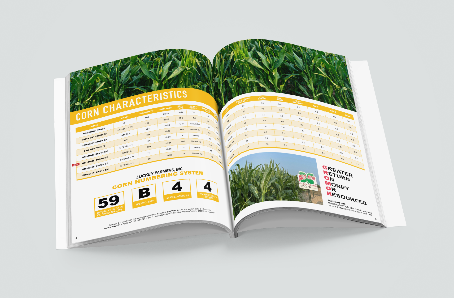   A page from the 2023-2024 Seed Guide displaying seed corn. 