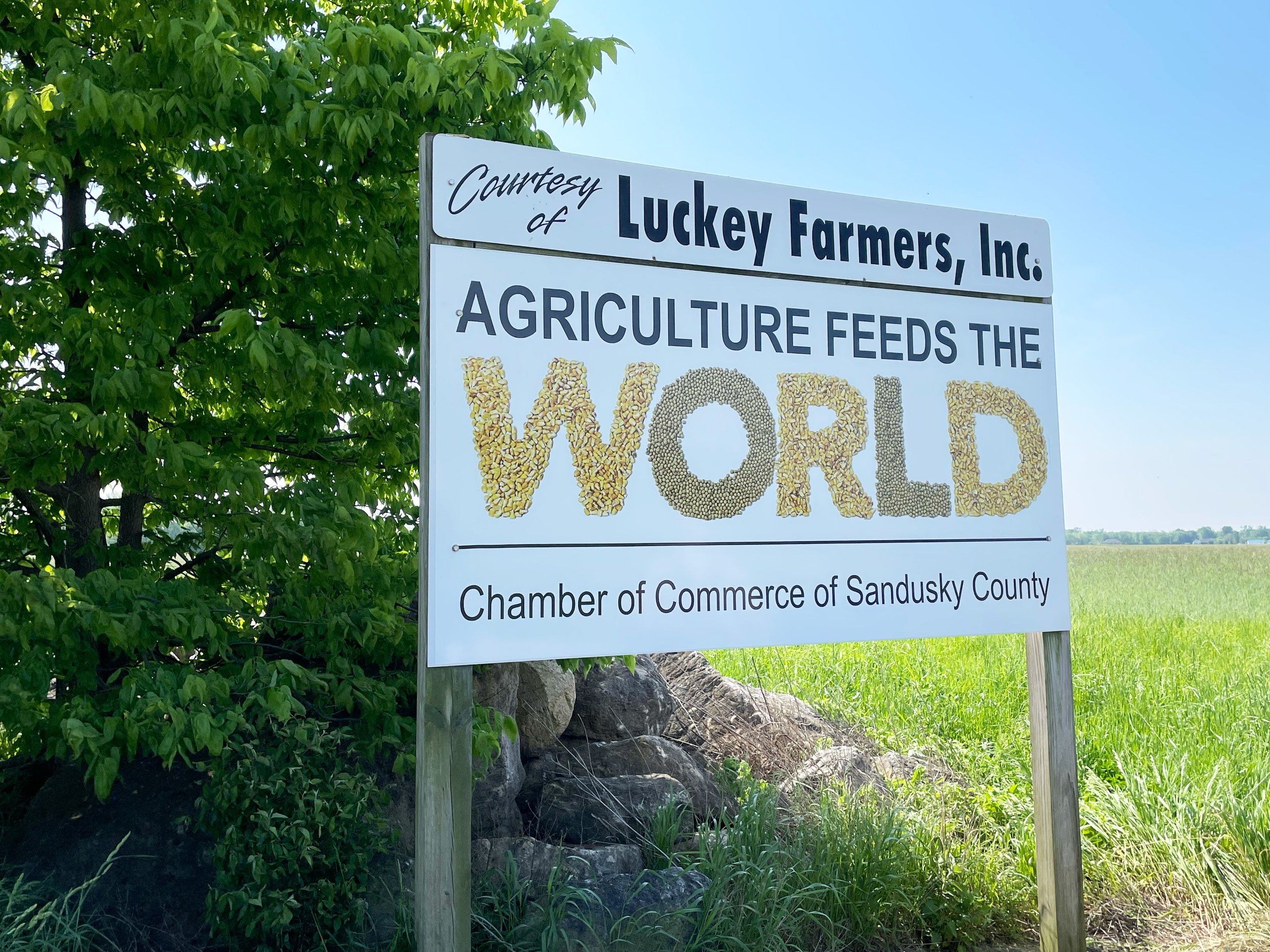  A billboard design highlighting the impact agriculture has on both the world and in Sandusky County, Ohio. The word “WORLD” was completed by hand placing corn and soybean seeds one by one.  