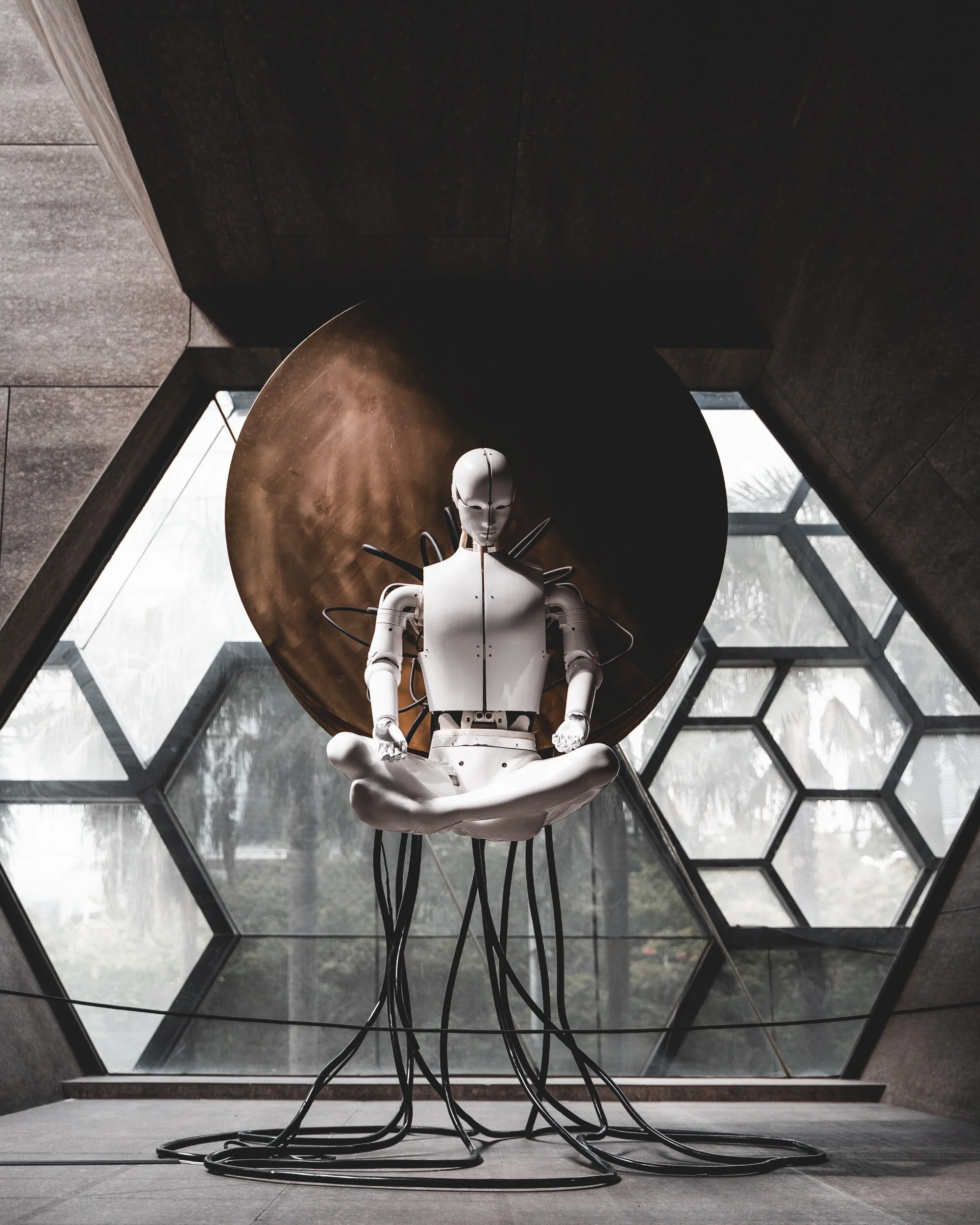 Rethinking the Artificial Intelligence Race
