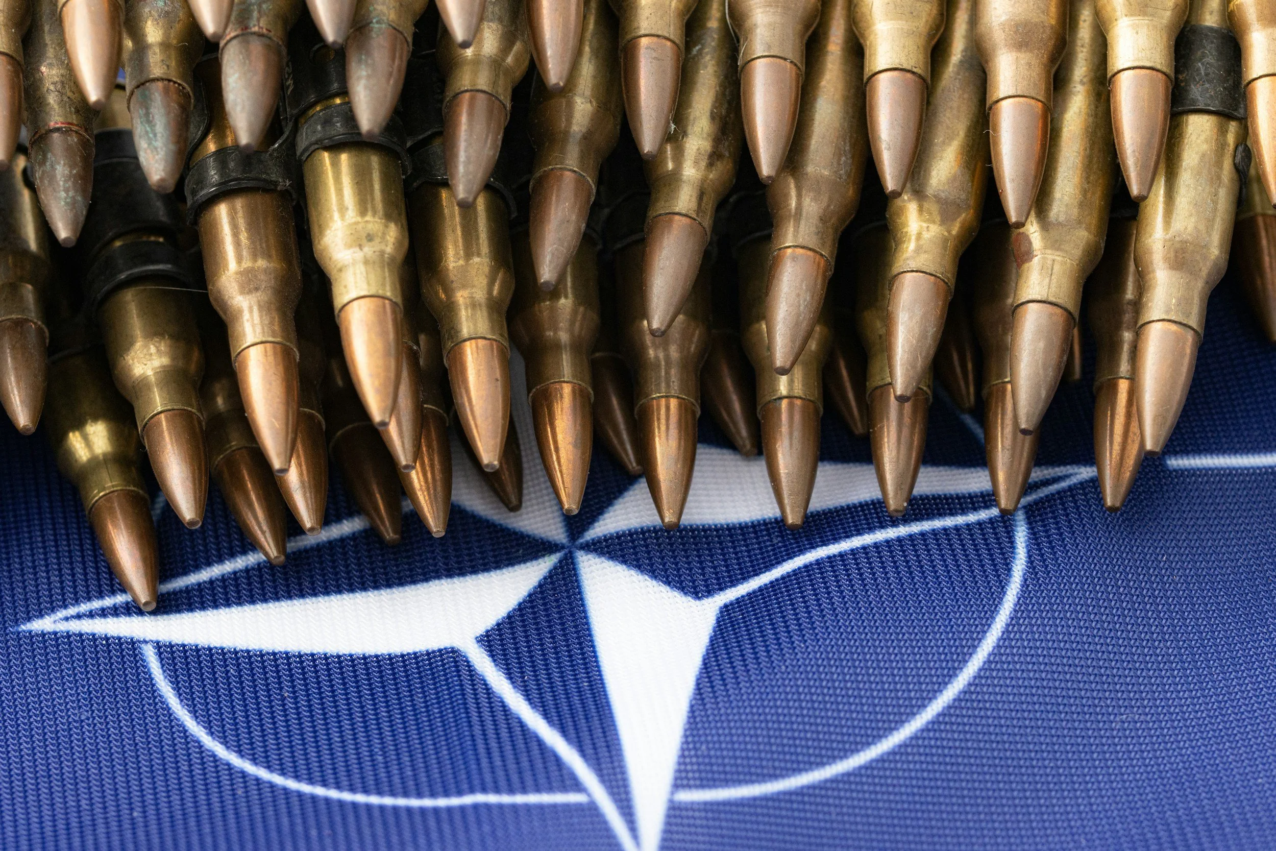 TV: Amini on 'NATO's importance for global security'