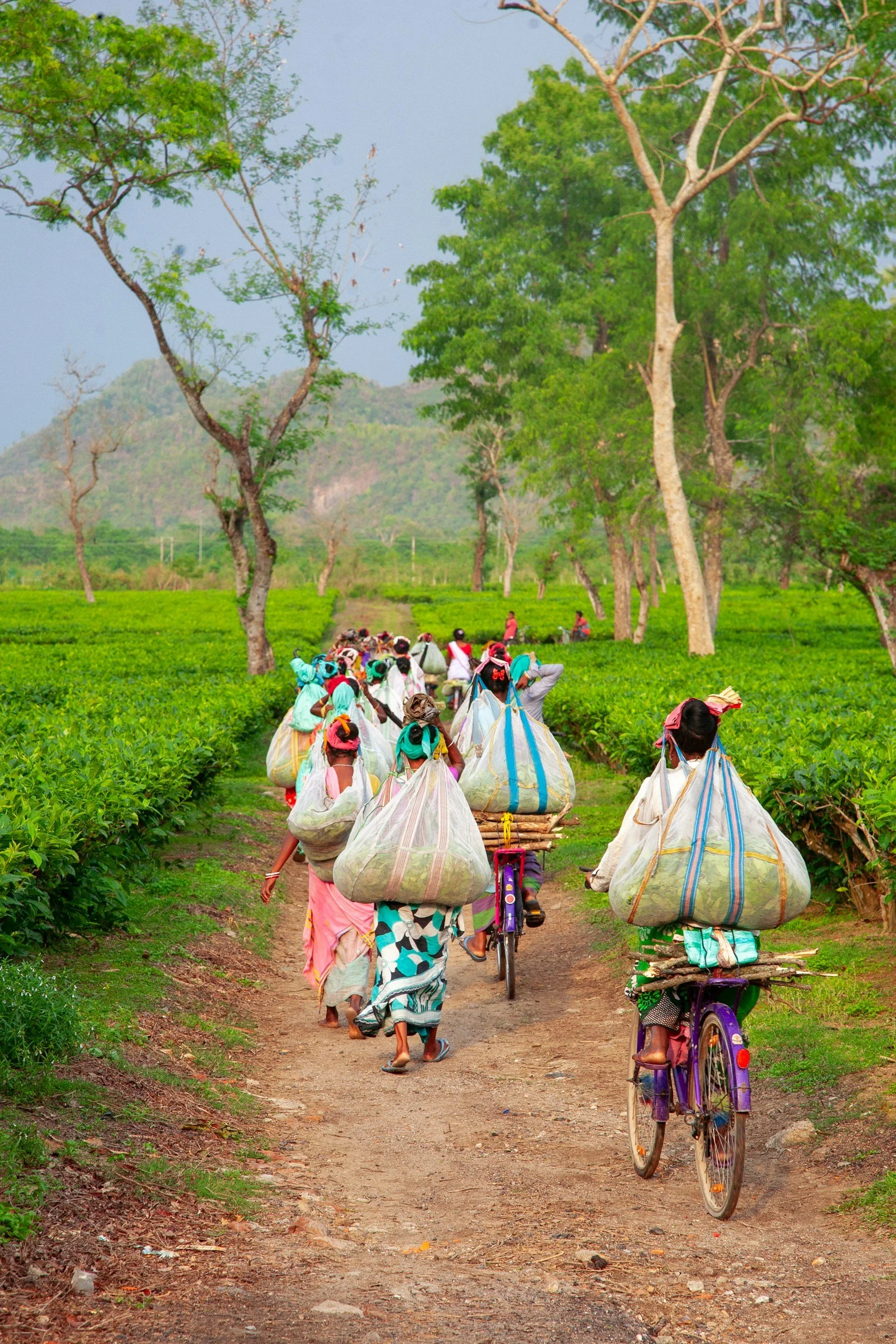 Digital Payments and Women’s Empowerment: Insights from PESP in the Chittagong Hill Tracts