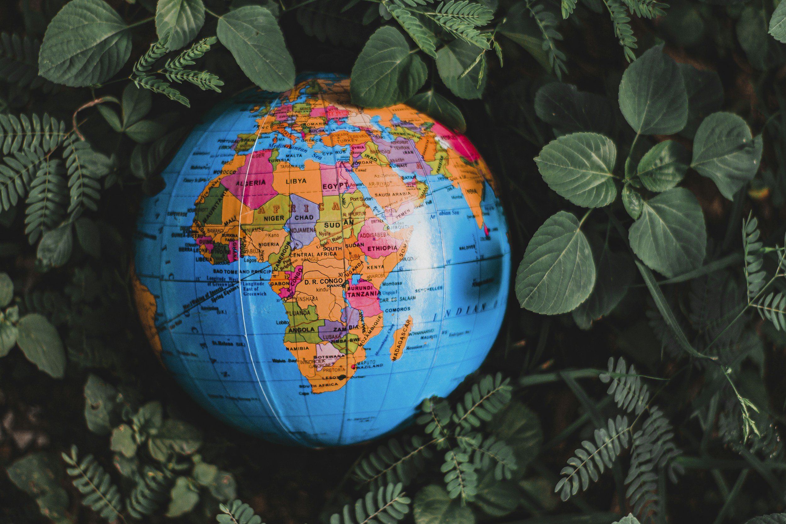 When creditors are constituents