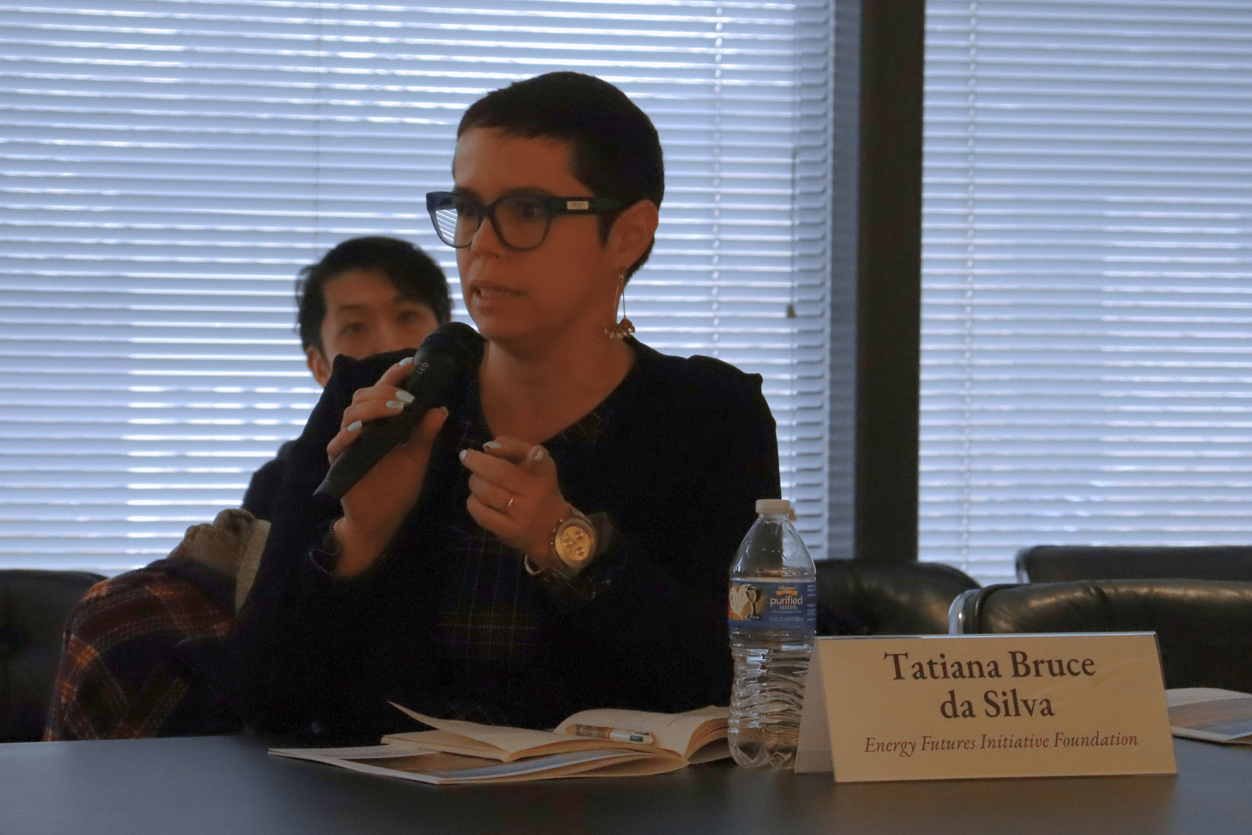 Brazilian Embassy Pics.png