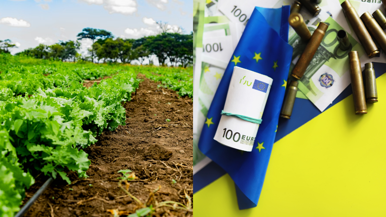 Season 2 Episode 12 : Africa’s Economic Opportunities, EU Aid to Ukraine