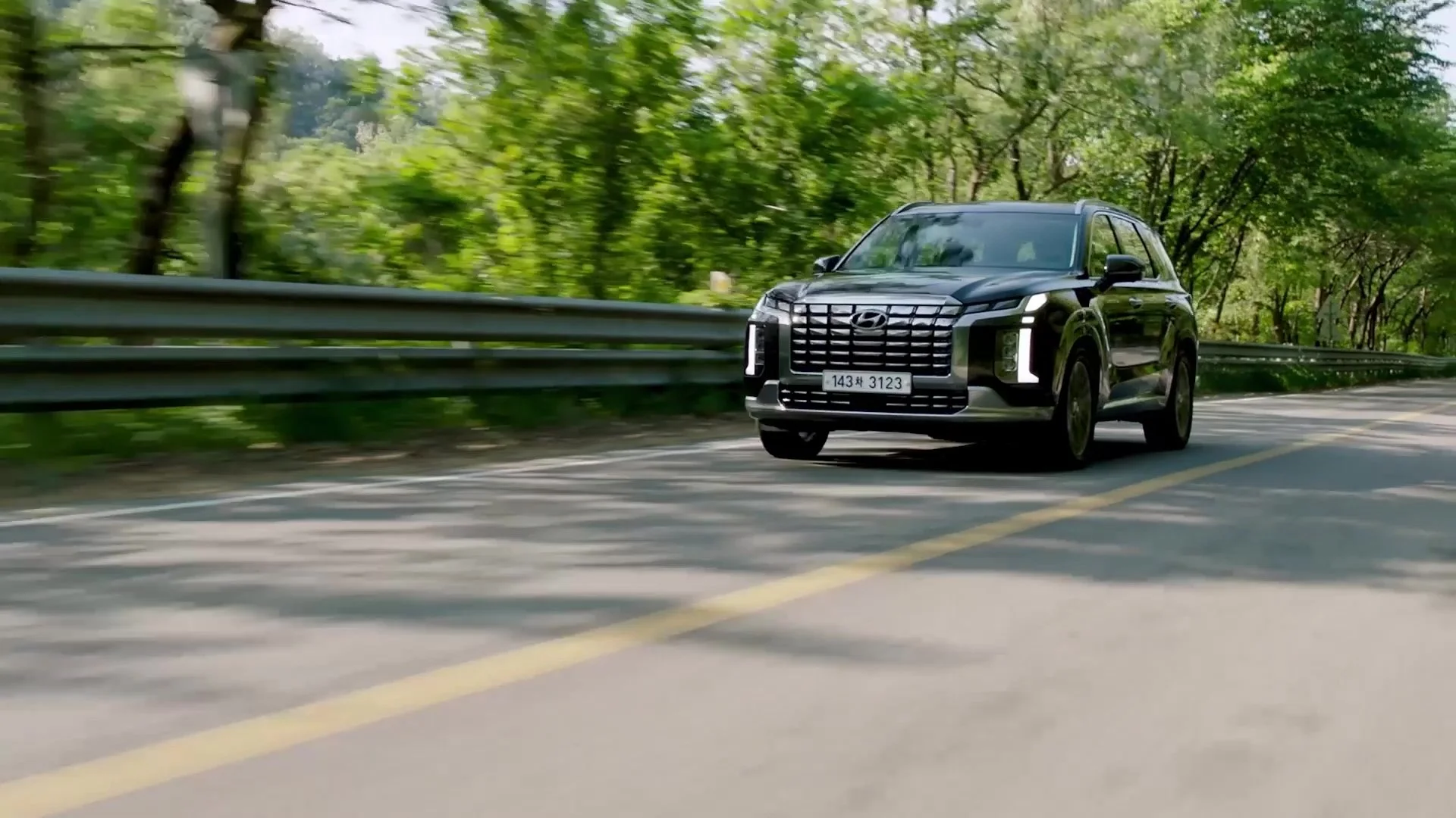 The new PALISADE Launching