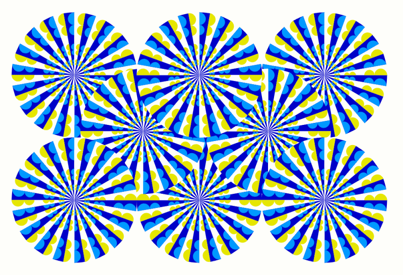 testing.gif
