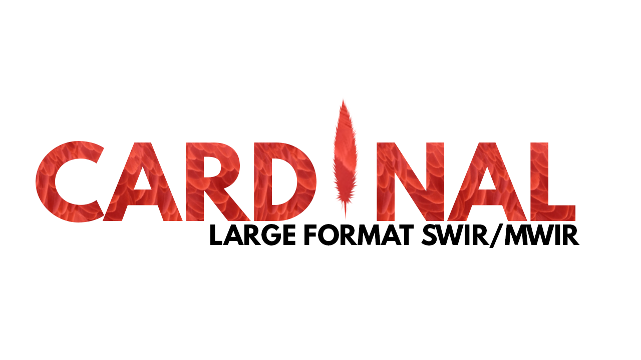 Cardinal Logo.png