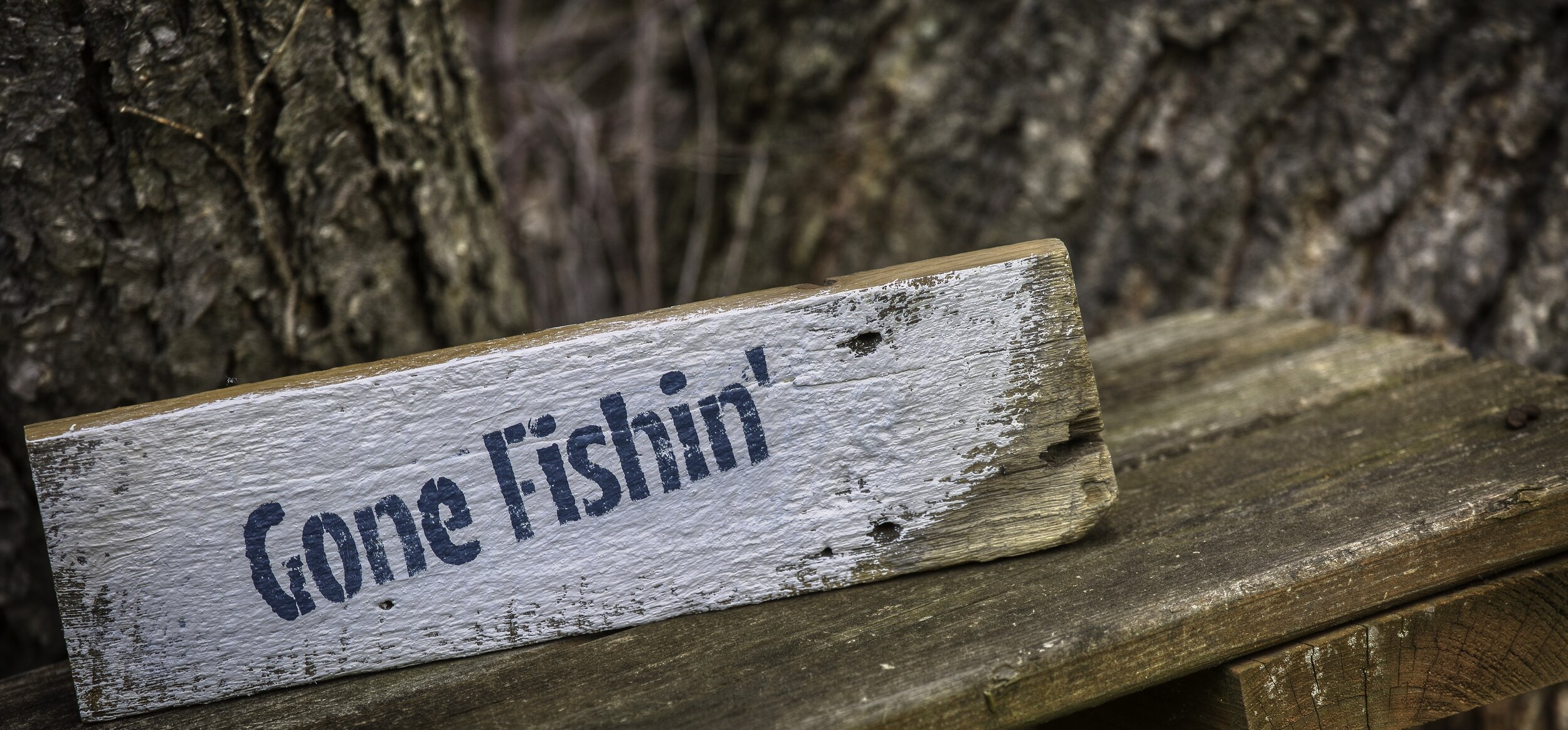 derp on board v2.jpeg