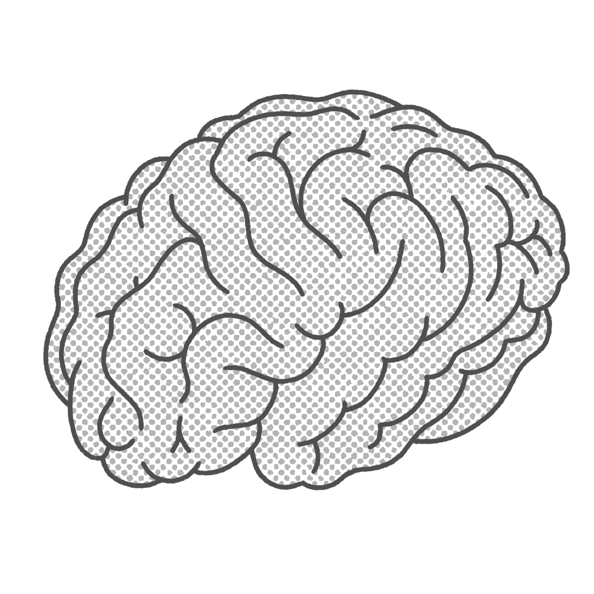 Brain (Copy)